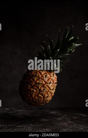 Whole ripe tropical pineapple with verdant foliage levitating on table against black background in dark studio Stock Photo