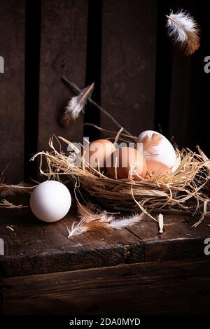 White and brown chicken eggs in straw nest placed on wooden surface with feathers Stock Photo