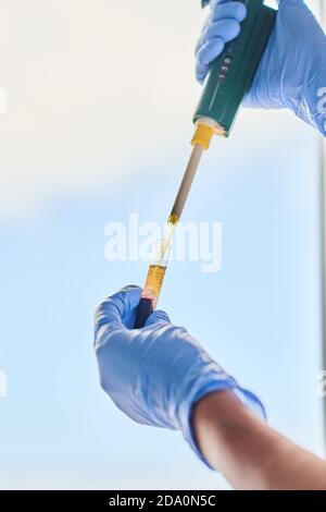 Crop anonymous medical specialist filling sample tube with blood while using pipette in laboratory on light background Stock Photo