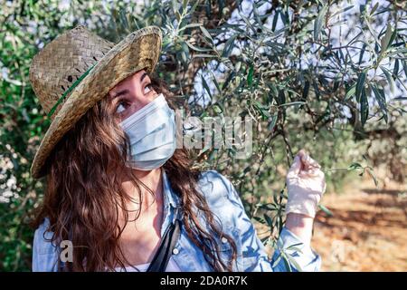 Curious female wearing straw hat and protective mask and gloves touching tree branches while working in farm Stock Photo