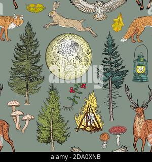 Forest adventure magic seamless pattern: bonfire, camping lamp, full moon, spruce, fir tree, mushrooms, fox, hare, deer, owl, berries. Stock Vector
