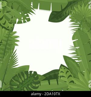 Vector illustration of tropical green leaves of palm, jungle leaves, philodendron framing white background in cartoon flat style. Stock Vector