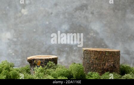 Wooden podiums or display stands with green moss on gray concrete background. Still life for products presentation. Stock Photo