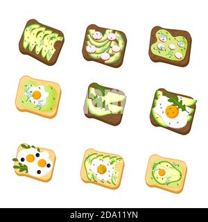Set avocado toast. Sandwich with bread, avocado, egg, radish, dill and sesame seeds, isolated on white background. Organic healthy food. Vector Stock Vector