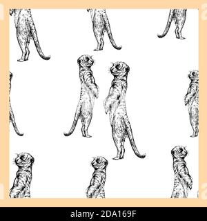 Seamless pattern of hand drawn sketch style meerkats isolated on white background. Vector illustration. Stock Vector