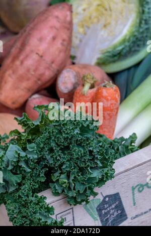 fresh curly kale and yams or sweet potato on sale at a greengrocers shop in cowes on the isle of wight. Stock Photo