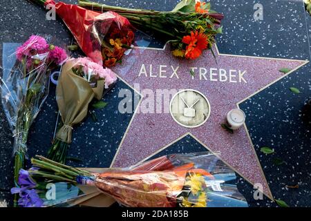 Los Angeles, California, USA. 8th Nov, 2020. Flowers are placed at the star of Alex Trebek on the Hollywood Walk of Fame, Sunday, Nov. 8, 2020, in Los Angeles. ''Jeopardy'' host Alex Trebek, who has battled pancreatic cancer for the past couple years, died today in Los Angeles at the age of 80. Credit: Ringo Chiu/ZUMA Wire/Alamy Live News Stock Photo