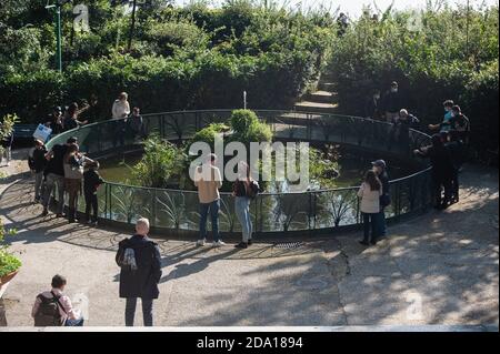 Napoli, Italy. 08th Nov, 2020. People standing around a fountain in Villa Floridiana. Credit: SOPA Images Limited/Alamy Live News Stock Photo