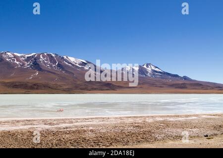 Laguna Hedionda landscape,Bolivia. Beautiful bolivian panorama. Blue water lagoon Stock Photo