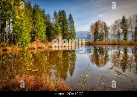 DE - BAVARIA: Autumn scene at the Pfundweiher (Pond) in the Loisach Moors near Bichl Stock Photo