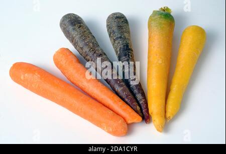 Rainbow carrots isolated on white. Special selection of different coloured carrots orange, purple and yellow. Stock Photo