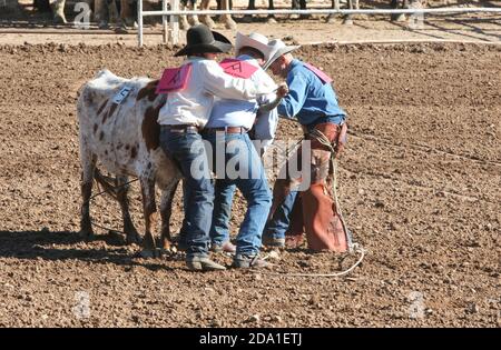 Rodeo event at the Arizona National Livestock Show, Phoenix, Arizona Stock Photo