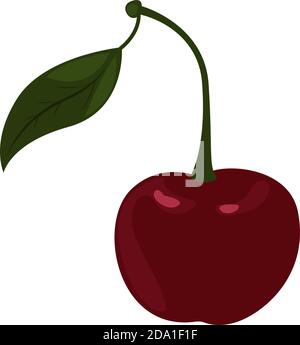 Dark red cherry,illustration,vector on white background Stock Vector