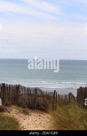 plage near forest.  Departement Vendée in France Stock Photo