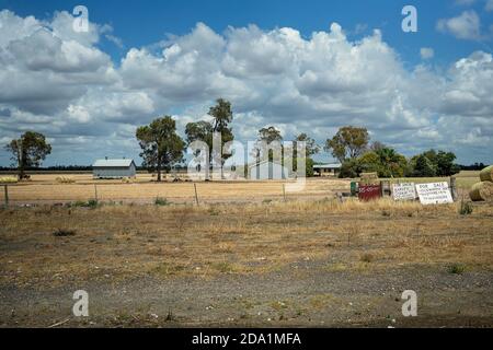 Warra, Queensland, Australia - October 2019: Barley straw and hay bales for sale on a dry rural property under a stormy sky