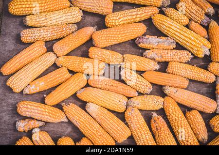 close up of old orange corn on the cob, the process of drying corn on the street, wooden background,  selective focus, cooking recipes, organic vegeta Stock Photo