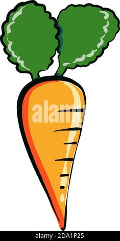 Small carrot , illustration, vector on white background Stock Vector