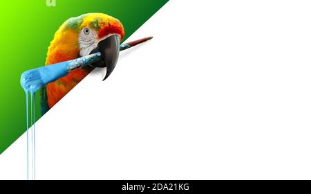 Parrot with a dripping paint brush in its beak. Advertisement concept with white copy space. Stock Photo
