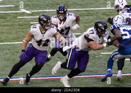 Baltimore Ravens fullback Patrick Ricard (42) prior to an NFL football game  against the Denver Broncos, Sunday, Oct. 3, 2021, in Denver. (AP  Photo/David Zalubowski Stock Photo - Alamy