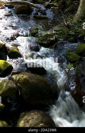 Taggerty Cascades are on the Taggerty River, north of Marysville in Victoria, Australia. Most of this area was destroyed in the 2009 bushfires. Stock Photo