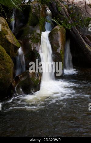 Taggerty Cascades are on the Taggerty River, north of Marysville in Victoria, Australia. Most of this area was destroyed in the 2009 bushfires. Stock Photo