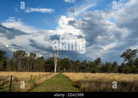 Stormy skies over farmland, Toogoolawah, Queensland, QLD, Australia Stock Photo