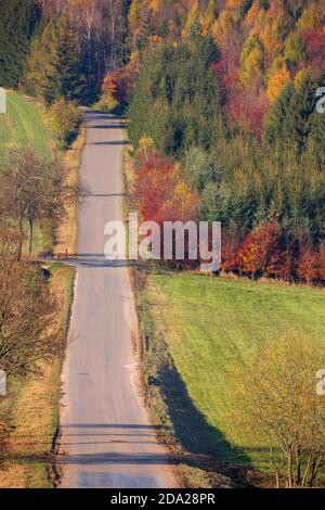 view of a colorful deciduous forest and rural road, in autumn with multicolored yellow, orange, red and green foliage on the trees in a scenic full fr Stock Photo