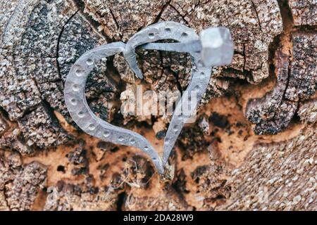forged heart and nail, love valentine grunge concept, Stock Photo