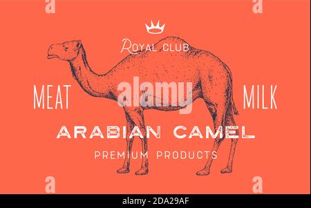 camel cigarette box template
