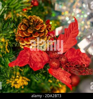 Big fir cone and poinsettia as a Christmas toy on a tree branch Stock Photo