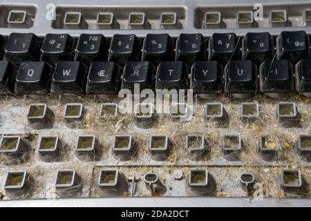 Dirty disassembled the keyboard is prepared for cleaning. Do-it-yourself computer keyboard disassembly Stock Photo