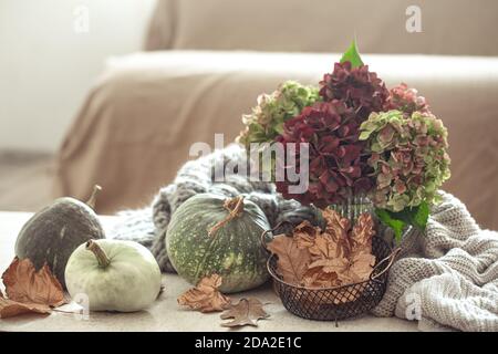 Autumn composition of pumpkins, dry leaves, hydrangea flowers and warm sweaters on a light blurred background of the room in cold colors. Home decor c Stock Photo