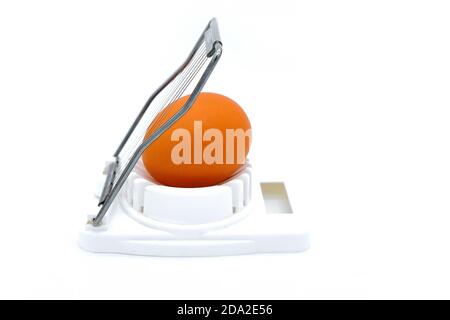 White background, isolate. Cutting eggs for cooking. Egg in shell a white egg-cutter. Stock Photo