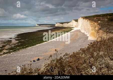 UK, England, East Sussex, Birling Gap, view along chalk cliffs towards Seven Sisters Stock Photo