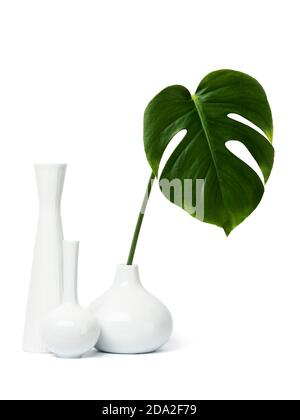 Three white vases, one with a leaf of monstera deliciosa, isolated on white background Stock Photo