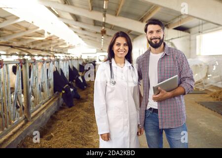 Happy livestock vet and farmer with tablet standing in barn on dairy farm with cows in background Stock Photo
