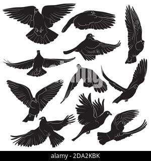 Set of isolated flying birds silhouettes. Vector illustration Stock Vector