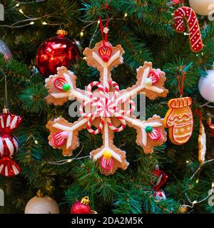 Christmas decoration gingerbread cookie in the shape of a snowflake on a tree copy space background, festive christmas tree square photo Stock Photo