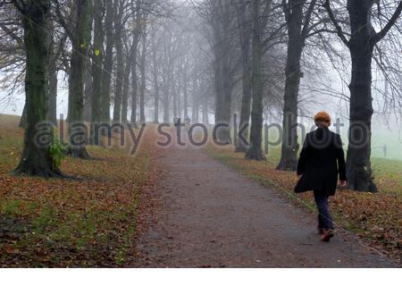 Edinburgh, Scotland, UK. 9th Nov 2020. Early morning fog envelops Inverleith Park, forecasted to change to cloud with sunny intervals by late morning. Late Autumn leaves still providing some colour. Credit: Craig Brown/Alamy Live News Stock Photo