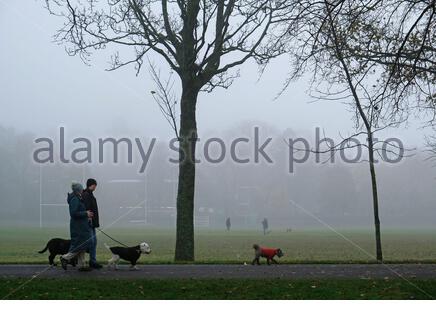 Edinburgh, Scotland, UK. 9th Nov 2020. Early morning fog envelops Inverleith Park, forecasted to change to cloud with sunny intervals by late morning. Late Autumn leaves still providing some colour. Credit: Craig Brown/Alamy Live News Stock Photo