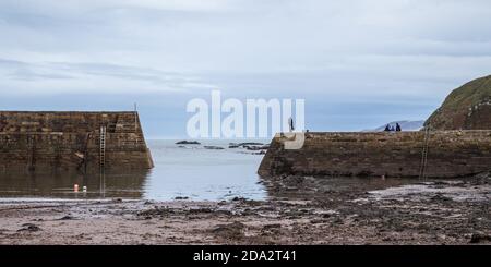 Cove Harbour at low tide near Berwick upon Tweed in the Scottish Borders, Scotland, UK Stock Photo