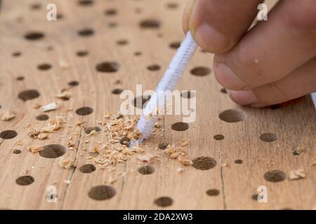 wild bee nesting aid made of hardwood with drilled holes, any bore dust remaining in the holes is removed with a pipe cleaner, Germany Stock Photo