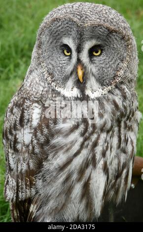 04-october-2020-saxony-anhalt-