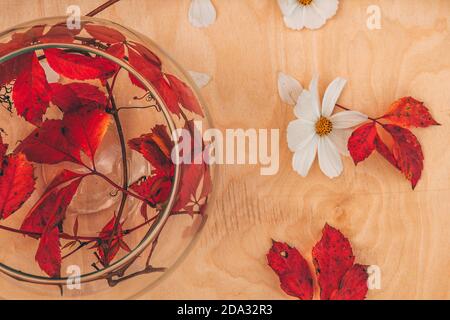 A glass vase with red leaves inside on the wooden table Stock Photo