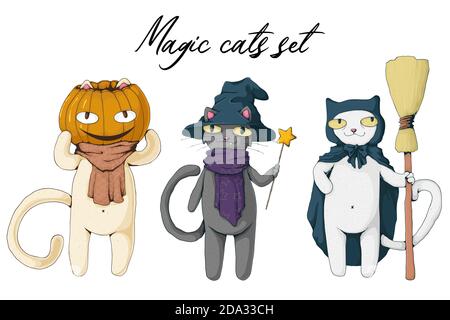 Collection of white and black magic cat with witch hat, pumpkin and broom. Set of halloween characters. Vector cartoon illustration. Best for print, w Stock Vector