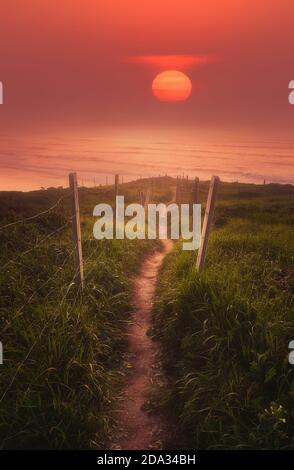 path near the sea with big sun at red sunset Stock Photo