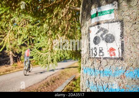 Marked bike and walking trail on a tree in Izera Mountains, selective focus. Stock Photo