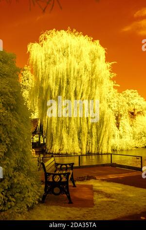 Maidenhead, Berkshire, UK., Sunday,  09/08/2020, Infra Red, Raymill Island, General View,   [Mandatory Credit: Peter Spurrier], Stock Photo