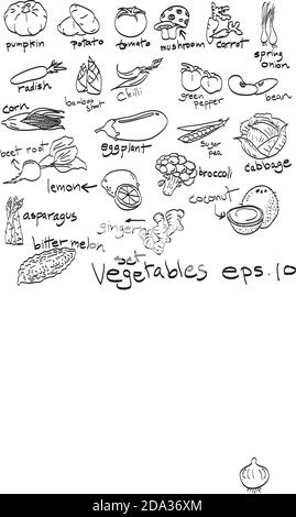 hand drawn set of vegetables, doodles. Stock Vector