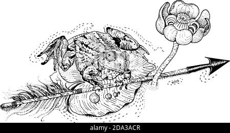 The frog princess. Amphibian sits on a water lily leaf and holds an arrow. Russian fairytale. T shirt print, tattoo design in dotwork style. Stock Vector
